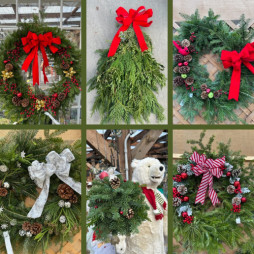 Unwrap the Season's Beauty: Fresh, Festive, Greenery Awaits!