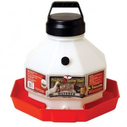 LITTLE GIANT AUTOMATIC PLASTIC POULTRY WATERER 3 GAL