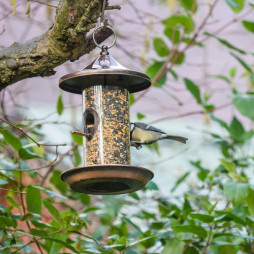 Bird Seed Sale Starts May 14th!