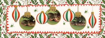 Happy Holidays from Bowen's Farm Supply!