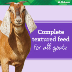 Nutrena Goat Medley