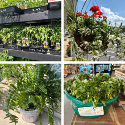 Gardening Time Is Here!