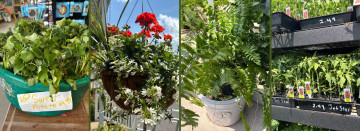 Gardening Time Is Here At Phelps Farm Farm & Home Service!