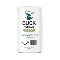 Buck Forage Oats