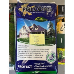 Falcon Fescue Seed