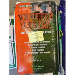 Southern Supreme Fescue