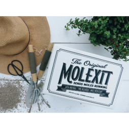 MOLEXIT