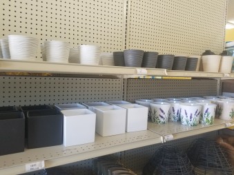 Plant and Flower Supplies