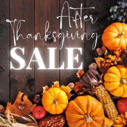 AFTER THANKSGIVING DAY SALE!