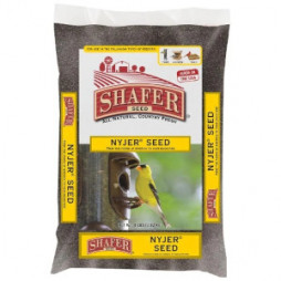 Shafer Nyjer Seed