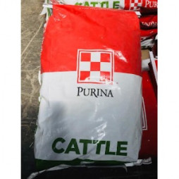 Purina 25-4 Cattle Cube