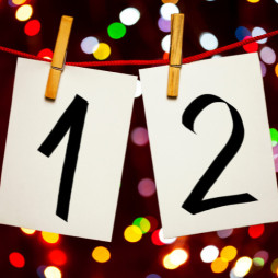 12 Days Of Christmas Sale