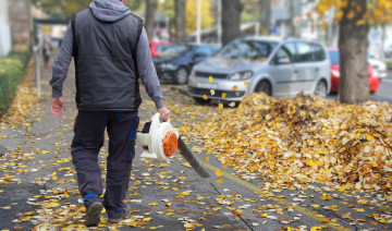 Which Leaf Blower is Right for Your Project