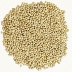 Shafer Seed White Millet 5lb