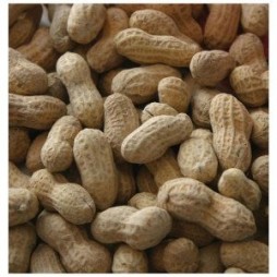 Alpine Ingredients #1 Fancy Peanut with Shell 25lb