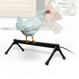 K&H Thermo-Chicken Perch