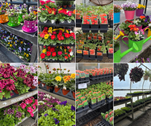 Spring Has Sprung at H.C. Summers!