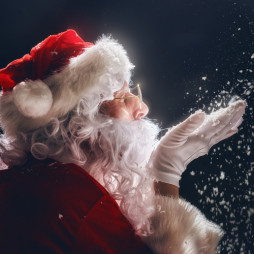 Pet Photos with Santa