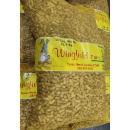 Raw Peanuts in the Shell