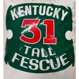 Kentucky 31 Grass Seed