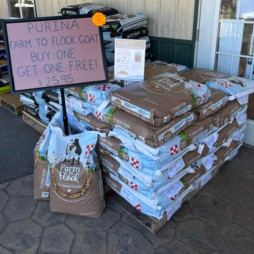 Purina Farm to Flock Goat Feed BOGO