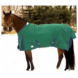 Intrepid Horse Blankets