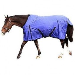 Intrepid Horse Blankets
