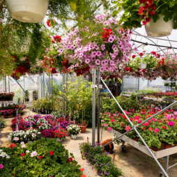 Your Go-To Garden Center!