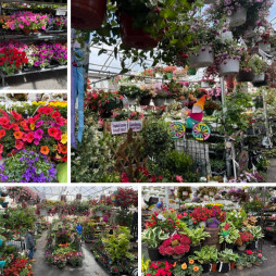 Visit Our Garden Center!