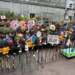 Add Some Color to Your Garden