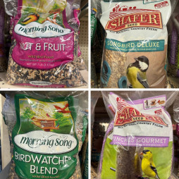 New Bird Feed & Feeders Are Here