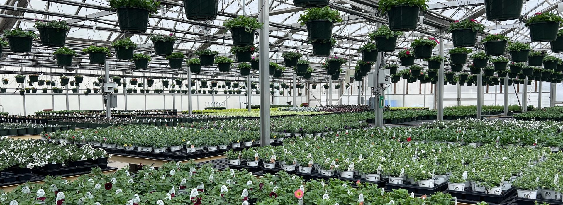 Bobs Garden Center, Garden Center South Jersey, Plant Nursery South