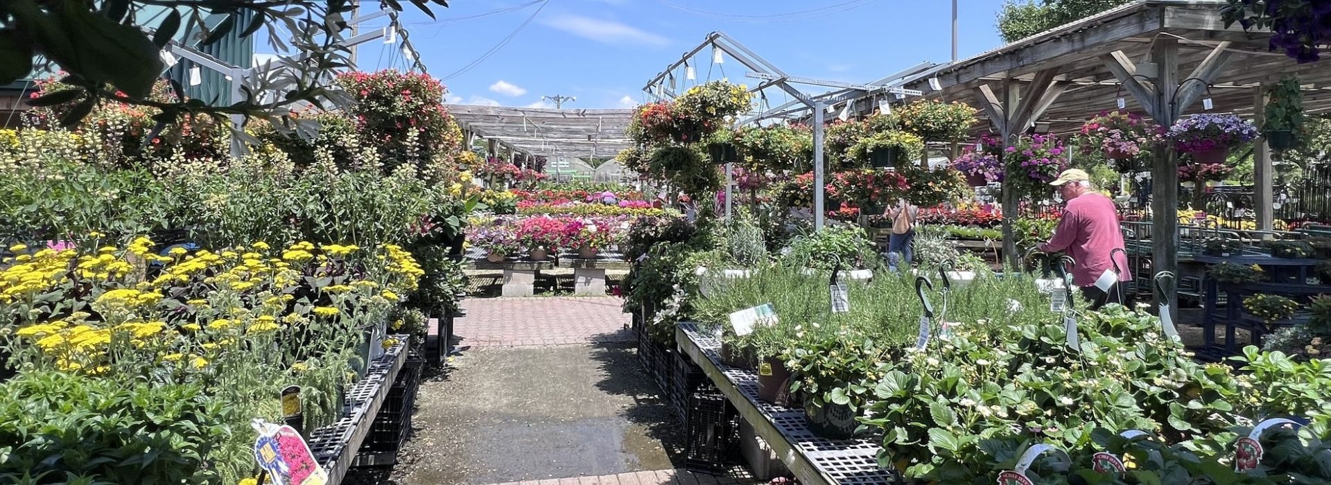 Bobs Garden Center, Garden Center South Jersey, Plant Nursery South
