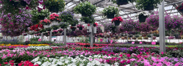 Everything you need is available at Bob's, your one-stop garden center.
