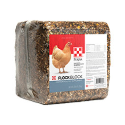 Purina® Flock Block®