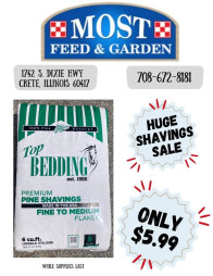 Huge Shavings Sale