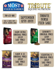 Tribute Sale