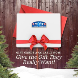 Gift Cards Available Now!