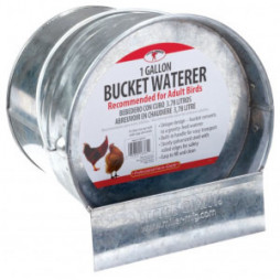 Miller Mfg Galvanized Bucket Poultry Waterer, 1 Gal