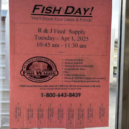 Fish Day