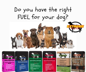 Now Carrying Extreme Dog Fuel from Elite Nutrition
