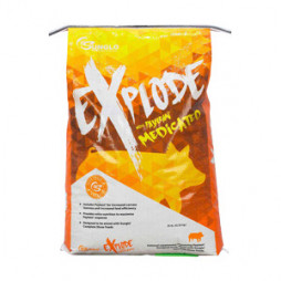 Sunglo® Explode™ Show Supplement