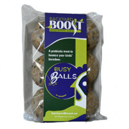 Backyard Boost Busy Balls