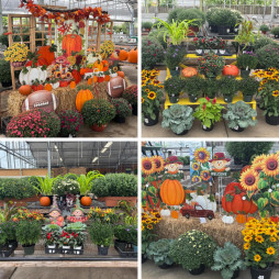 Fall Has Arrived
