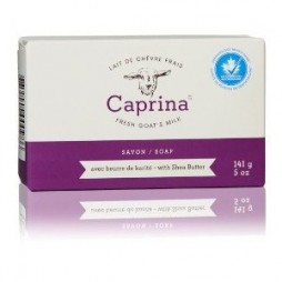 Caprina Fresh Goat’s Milk Soap – Shea Butter