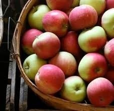 Locally Grown Apples