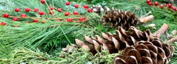 Southwest Michigan's Best Selection of Holiday Greens!