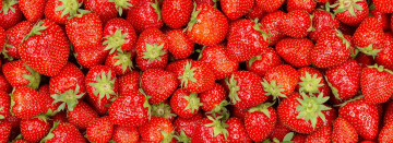 Sweet, Michigan Strawberries - Visit Our Farm Market Today!