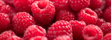 Pick Up Locally Grown Raspberries Today!