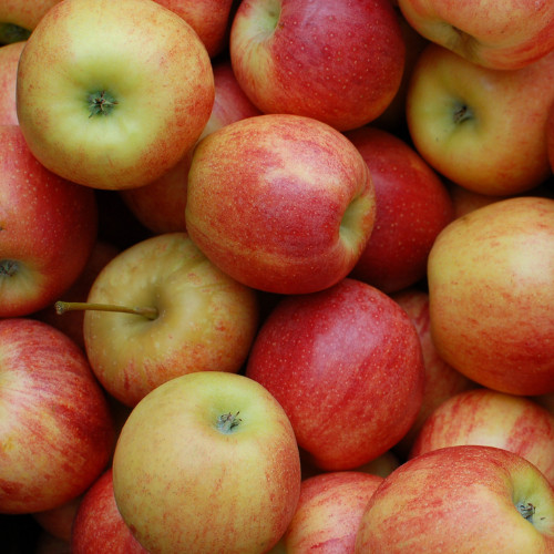 Locally Grown Apples